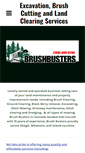 Mobile Screenshot of brushbusters.org